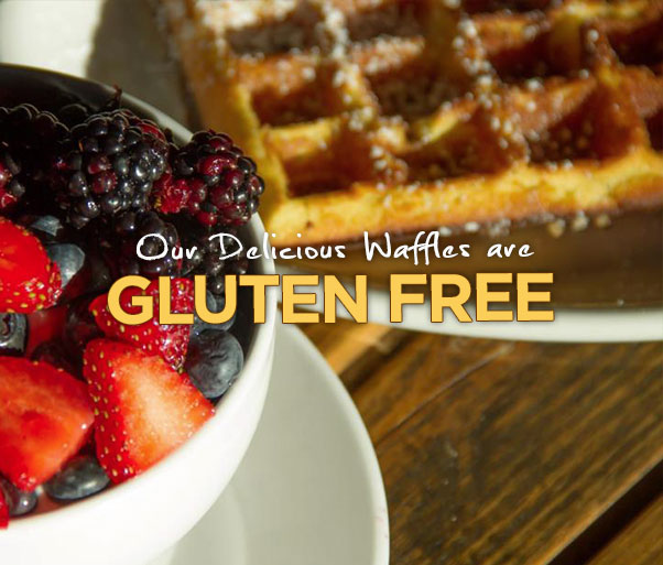 Waffles!!! Gluten Free!!!!